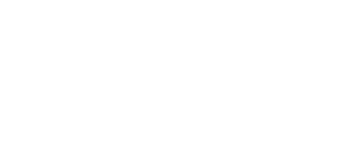 THE PENZO TEAM REAL ESTATE ADVISORS