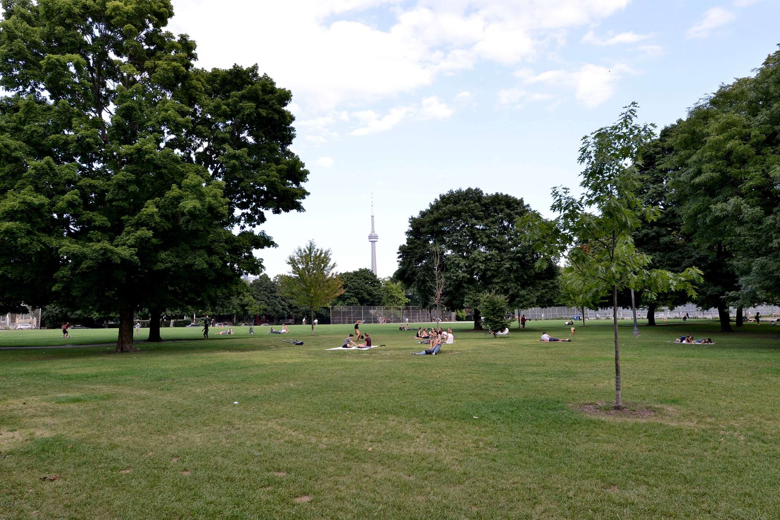 Trinity Bellwoods, Toronto Real Estate, Debbie Penzo