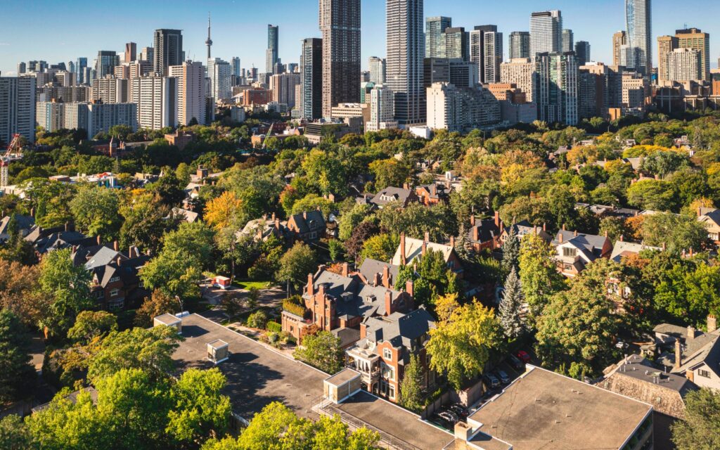 Rosedale neighborhood greenery