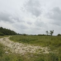 7488 15/16 Sdrd, Clearview